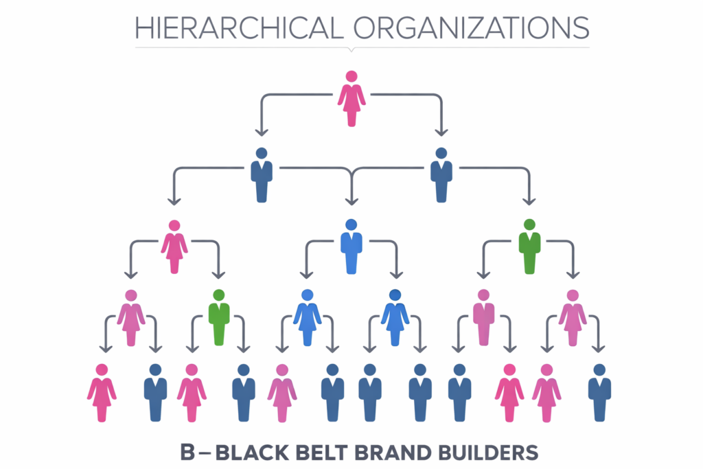 Responsibilities and Accountability at Different Levels in the ...